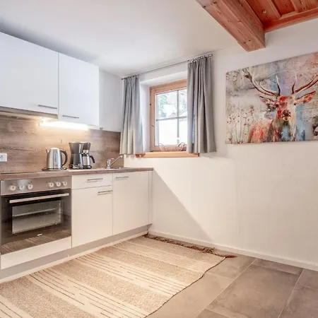 Daire Selbhorn Maria Alm am Steinernen Meer